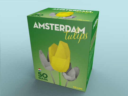 Disseny pack tulipans Amsterdam Tulips 0