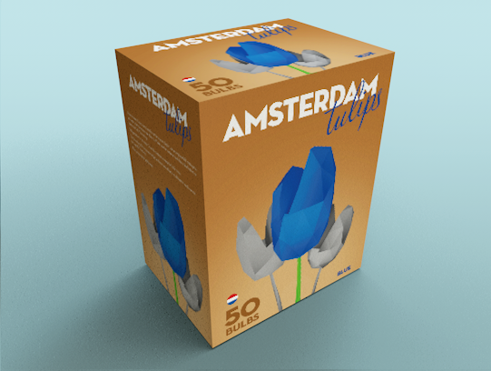 Disseny pack tulipans Amsterdam Tulips 1