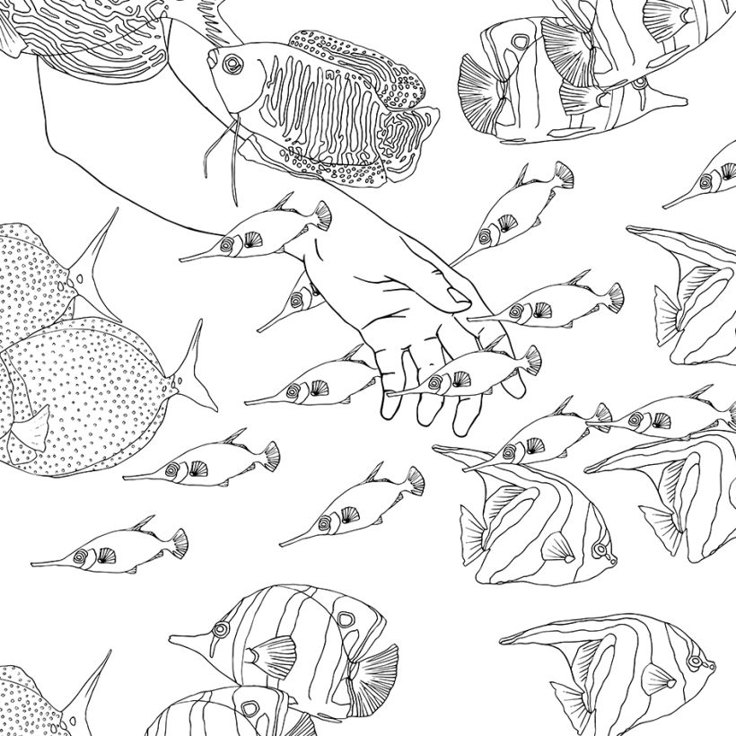 Libro ilustrado para colorear: Metamorfish, Tras los arrecifes 10