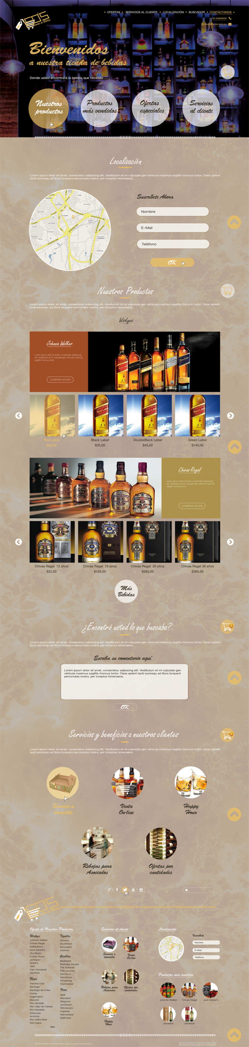 Diseño web para tienda de bebidas  -1
