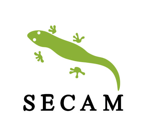 Logotipo Secam 0