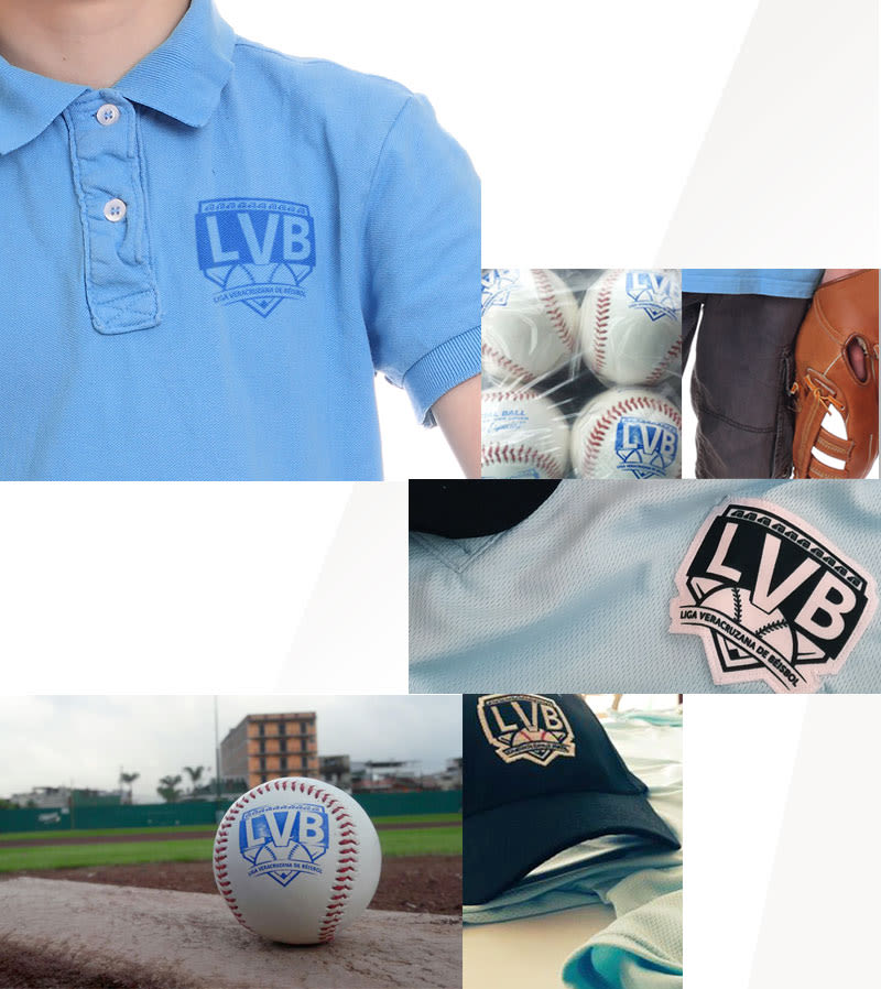 Liga Veracruzana de Béisbol | Brand 1