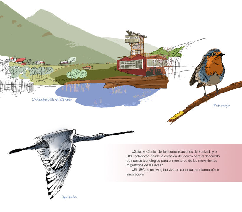 Urdaibai Bird Center (libro) 5