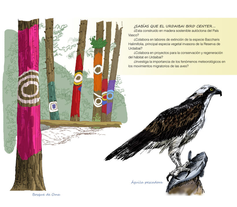 Urdaibai Bird Center (libro) 9
