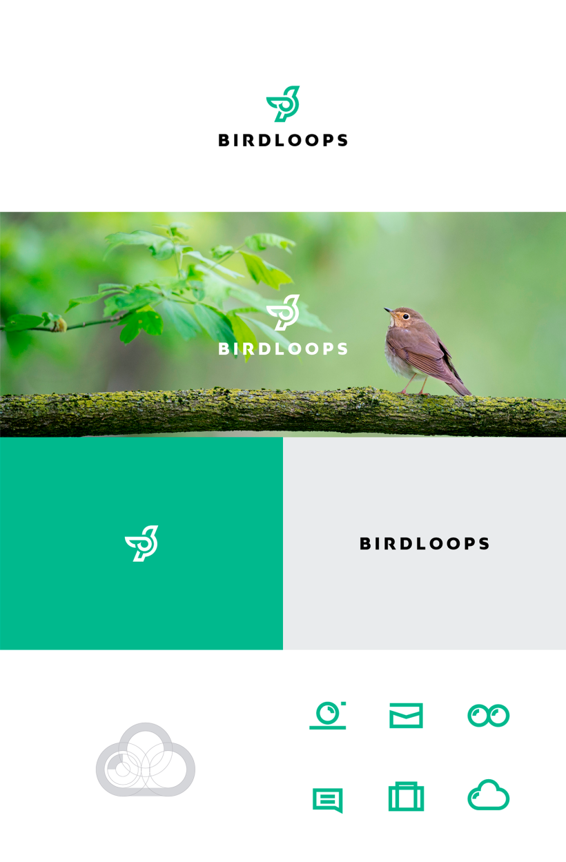 BIRDLOOPS ™ - Brand Identity 0