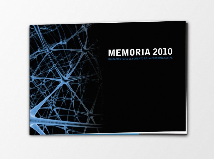 FFESS Memoria 2010 -1