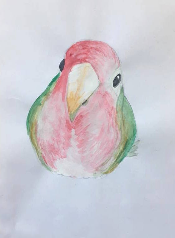 The Bird 0