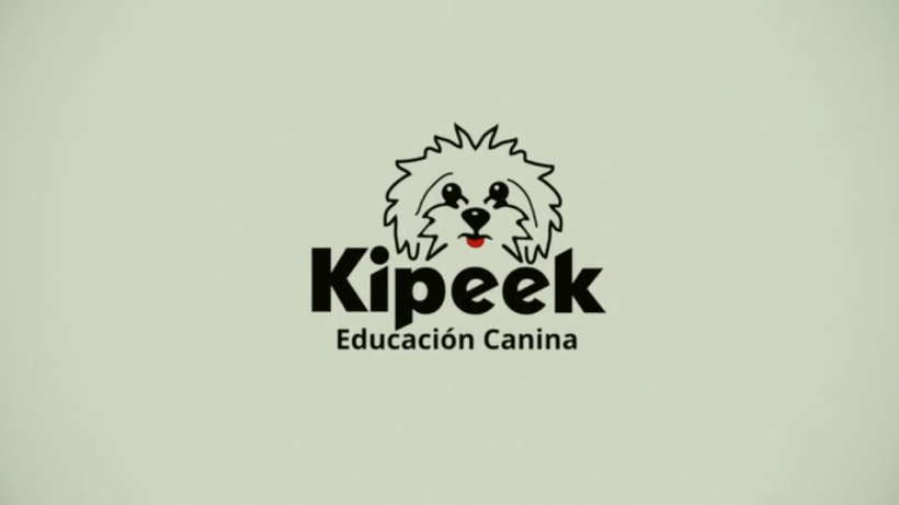Motion Graphics: Kipeek Educación Canina 1