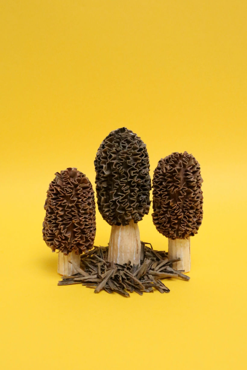 Paper Mache Mushrooms — Nora's Nest