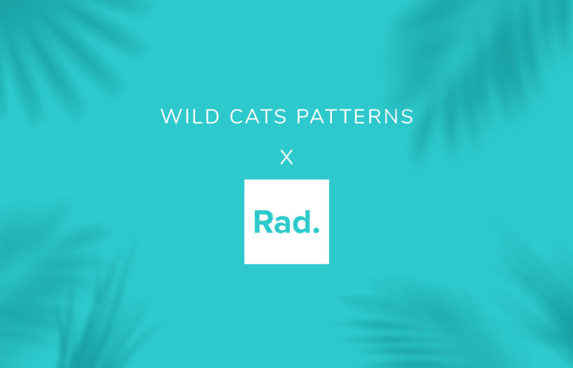 Wild Cats Patterns x RAD.co -1