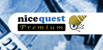 Nicequest Premium Logo and Homepage 0