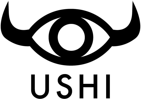 Direction and design for the Ushi eyewear -1
