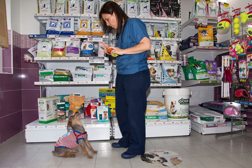 Fotografía corporativa de la clínica veterinaria Salvatierra (2016) 0