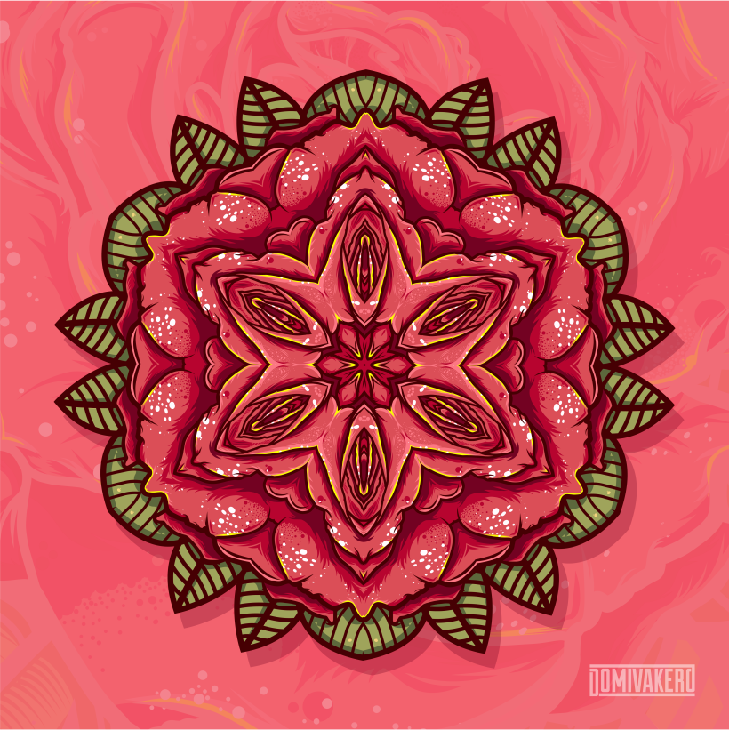 Rose Vector Collection 3