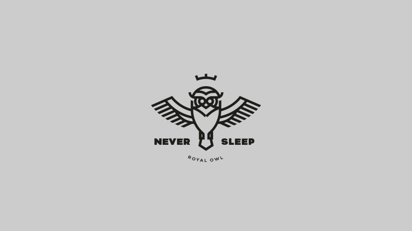 Never Sleep. Fyero Studio 1