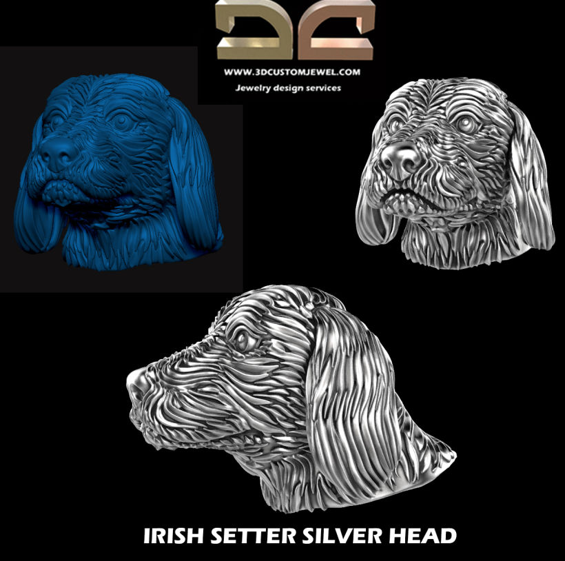 Irish setter dog head 0