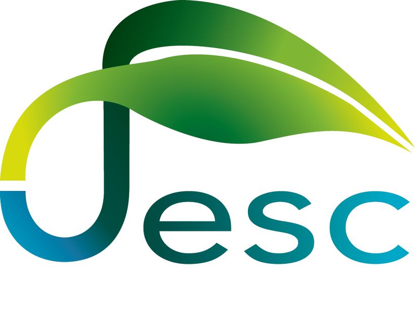 Logo Jesc 0