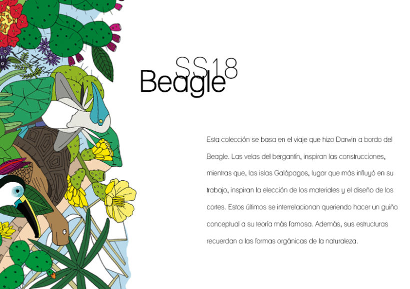 Colección Beagle 1