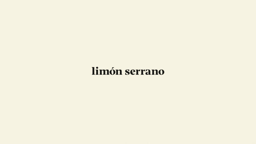 Limón Serrano Art Direction, Branding  -1