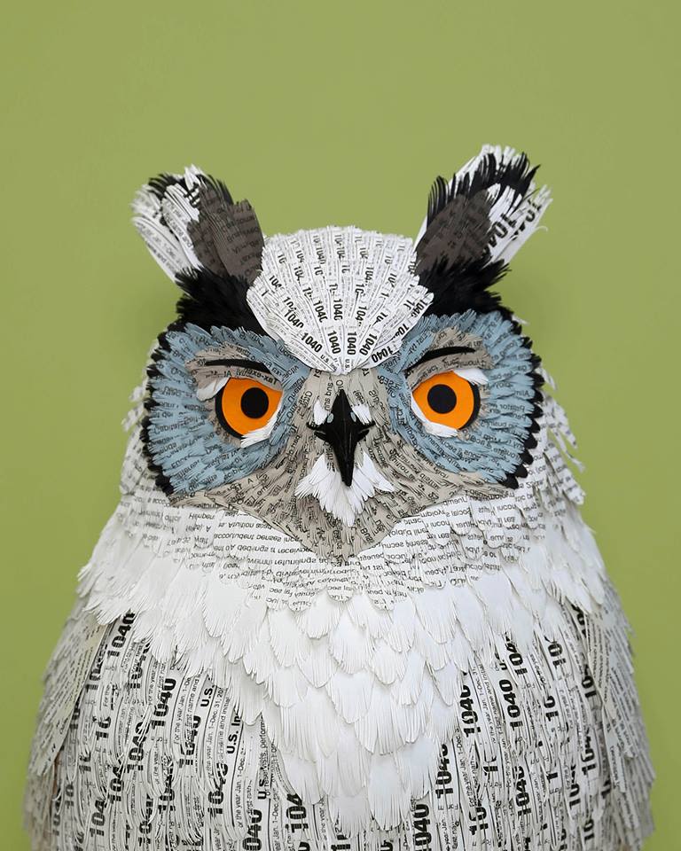Wise Owl.  2