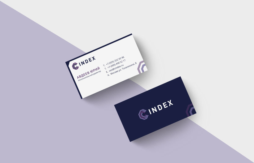 Logotipo Cindex - Fondo de inversión 12
