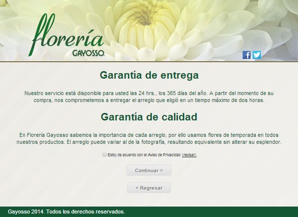 GAYOSSO / Web / Lanzamiento: Florería en línea / 2014 4