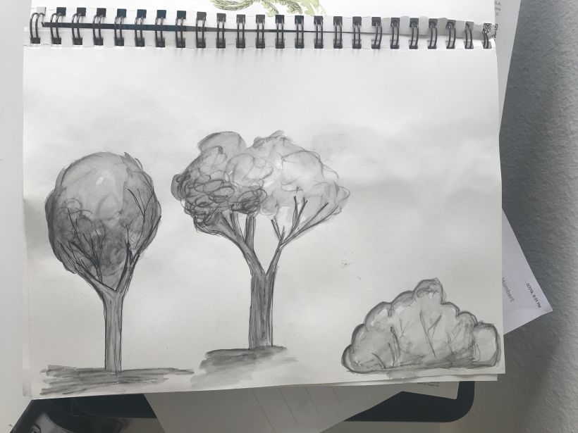 Mi Proyecto del curso: Dibujo para principiantes nivel -1 32