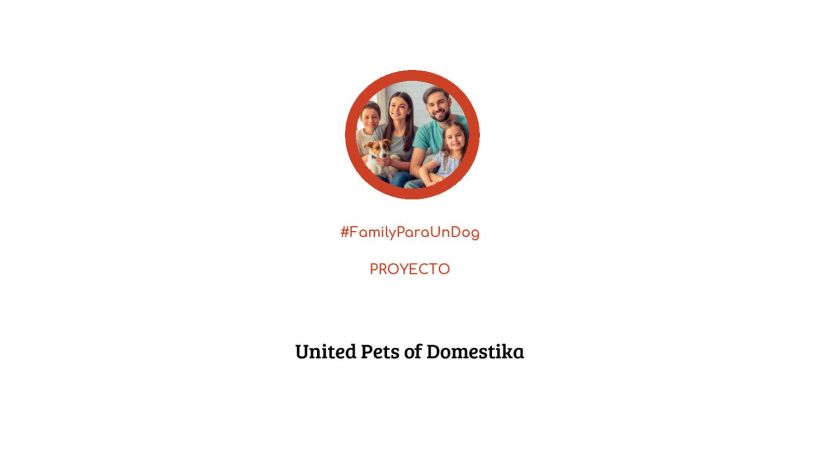 Proyecto: #FamilyParaUnDog 0