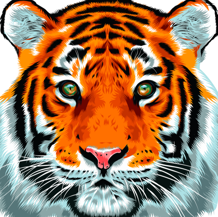 Tiger Vector Illustration -1