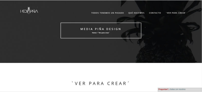 Web Media Piña 0
