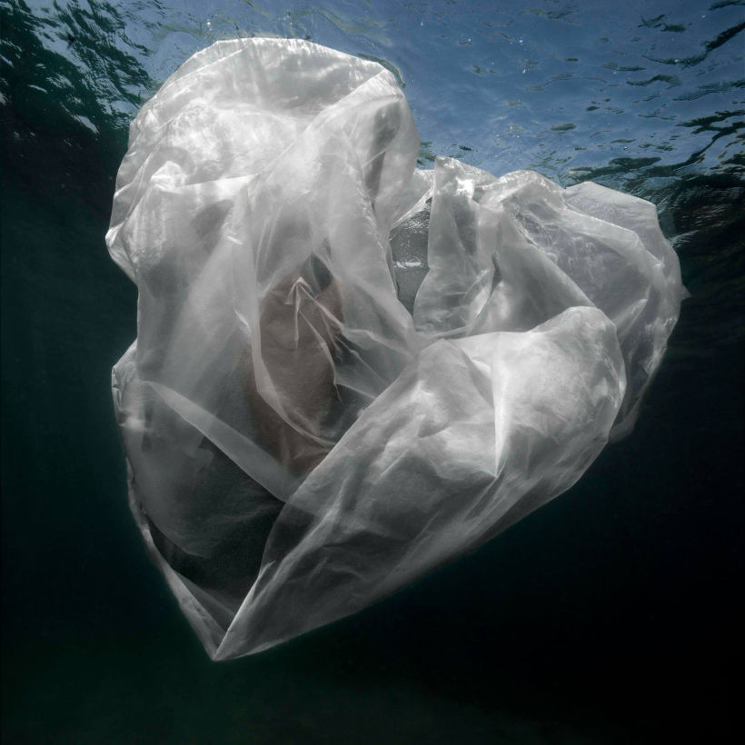 La fotografía submarina de Isabel Muñoz para salvar los océanos 11