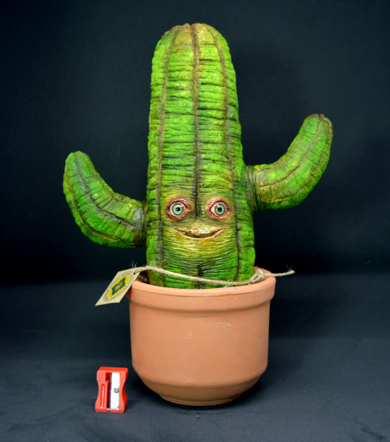 Cactus antropomórficos 0