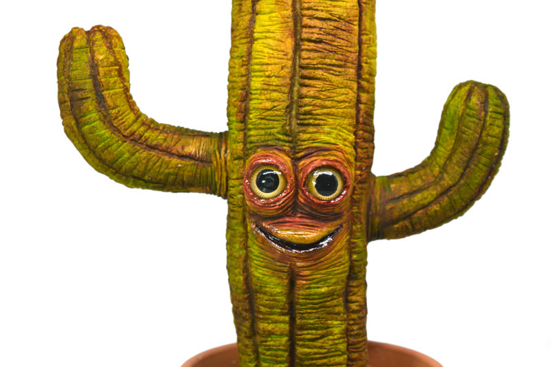 Cactus antropomórficos 18