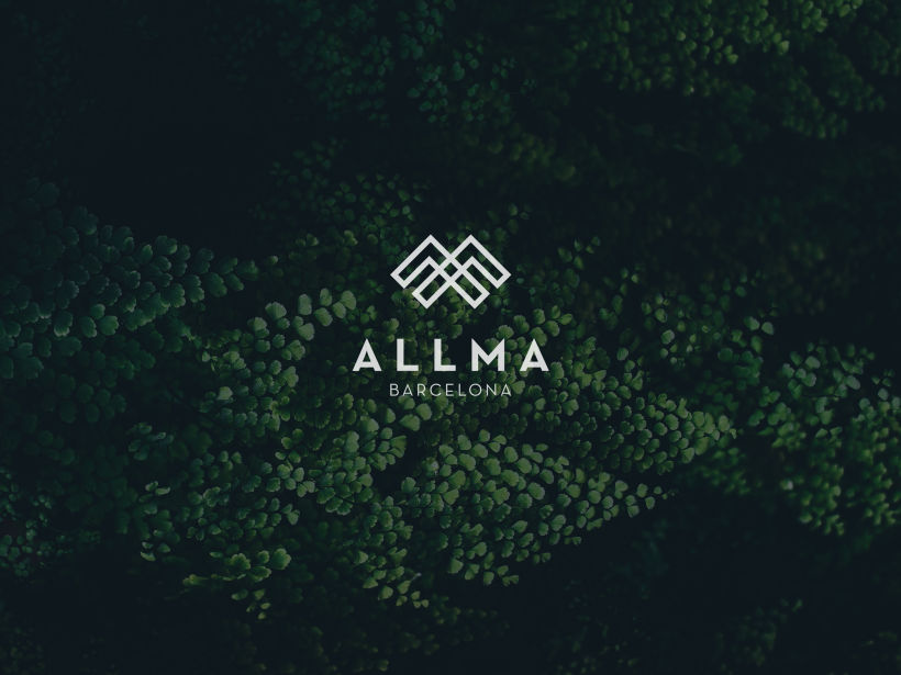 Allma Barcelona · Branding, Brochure & Web design 1