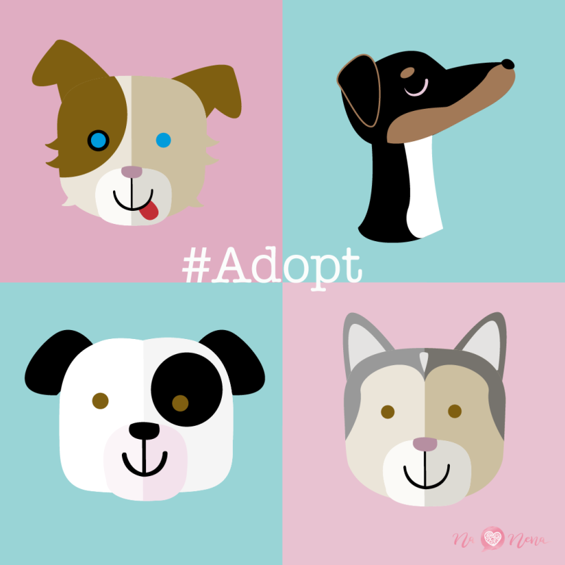#Adopt 5