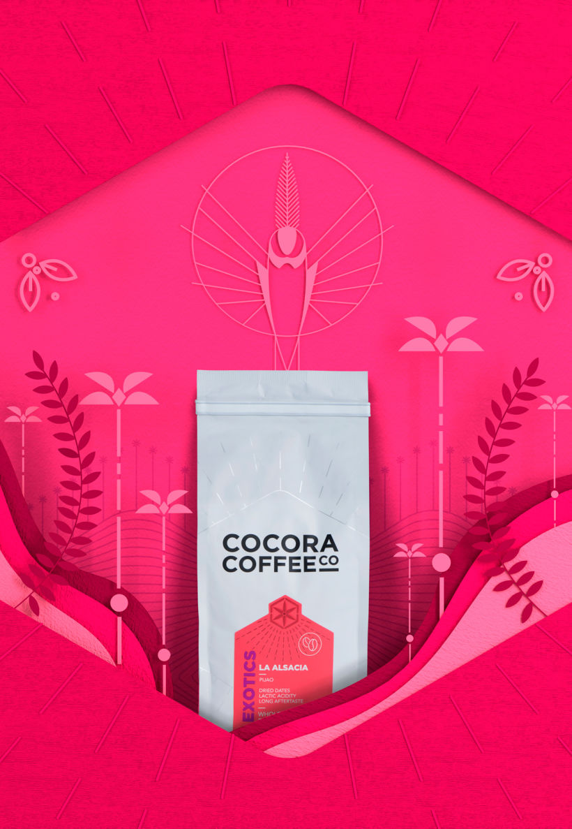 COCORA COFFEE 10