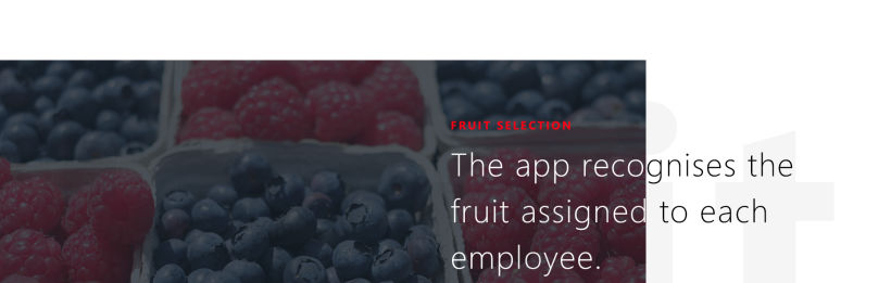 UI / UX App recolección fruta en Marruecos 7