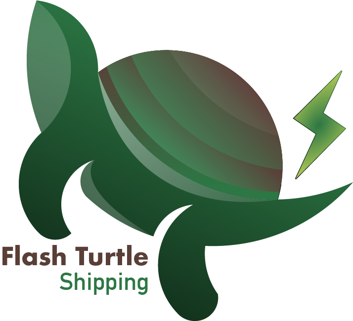 Branding Turtle Flash 0