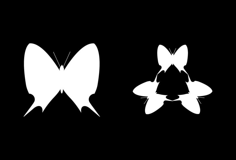 Serie - Gráficos con Mariposas 5