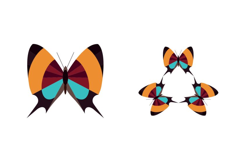 Serie - Gráficos con Mariposas 7