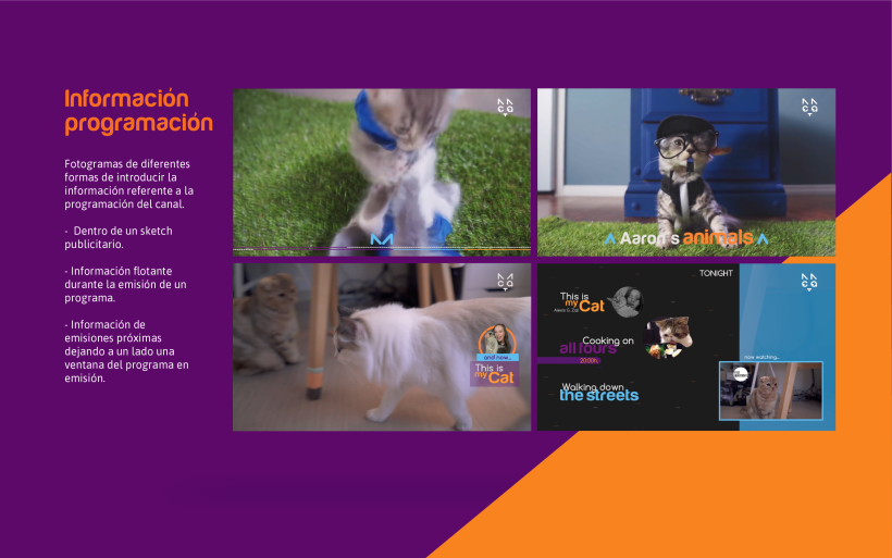 CAT- Branding Tv 9