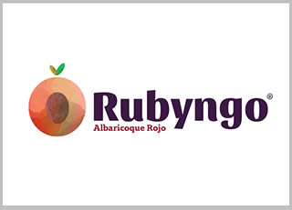 Propuesta rediseño de marca para Rubyngo (2018) 0