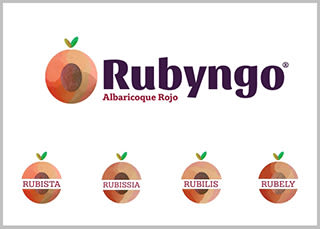 Propuesta rediseño de marca para Rubyngo (2018) 2