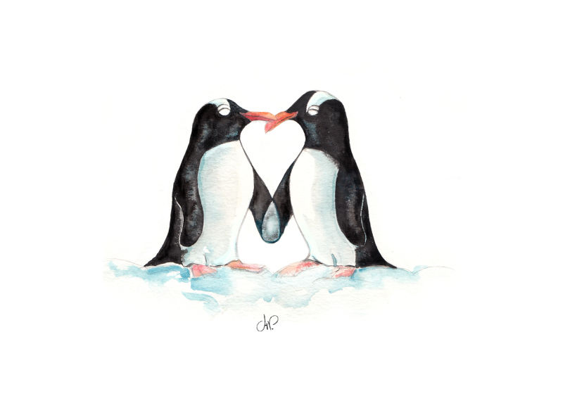 Amor pingüino 0