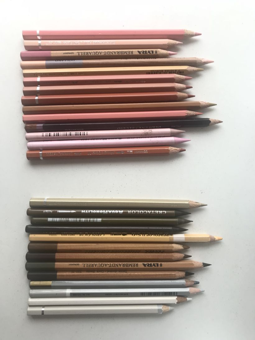 Mi Proyecto del curso:  Retrato realista con lápices de colores 3