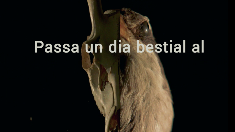 Publicidad: Dia Bestial, Museu de ciències naturals de Barcelona. 1
