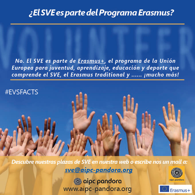 Post para promuover el programa SVE en la página Facebook y prefix Instagram de la asociación.