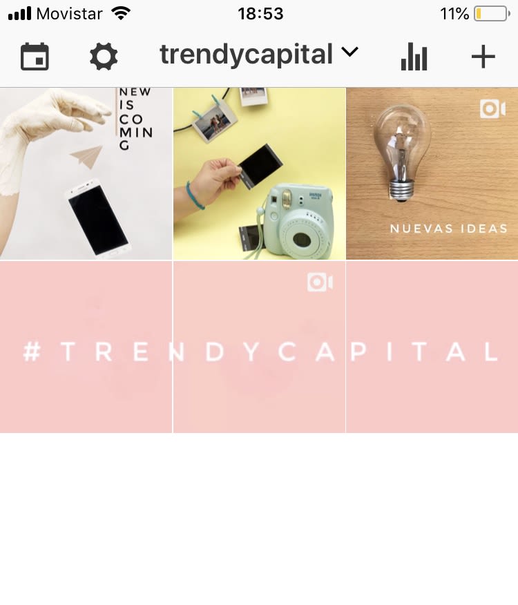Trendy Capital 10