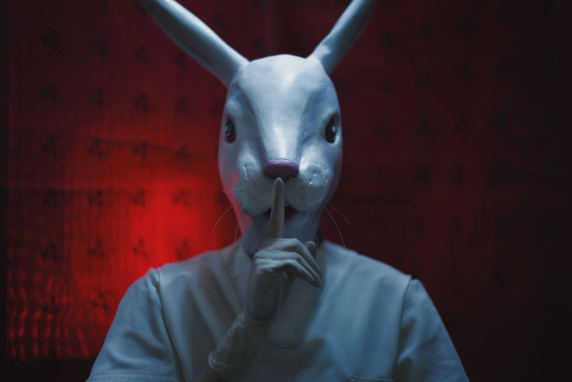 -The White Rabbit. 6