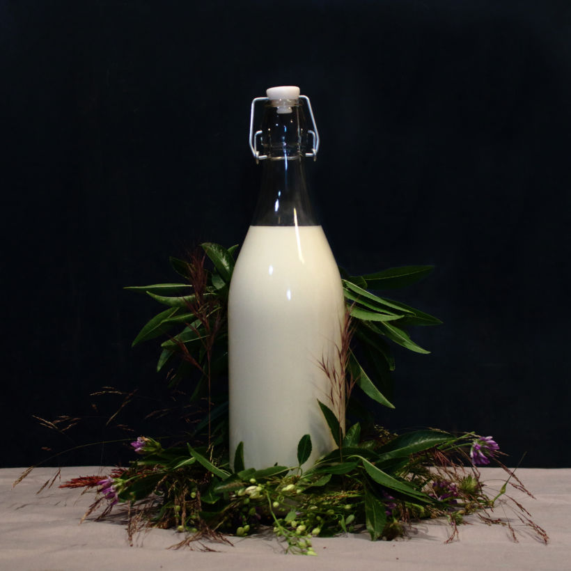 Natural Milk. Fotografía de producto. 5